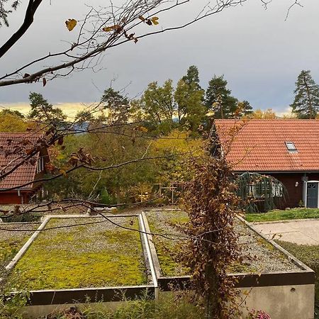Le Galtz - GÎTES MARCK Ammerschwihr Exterior foto