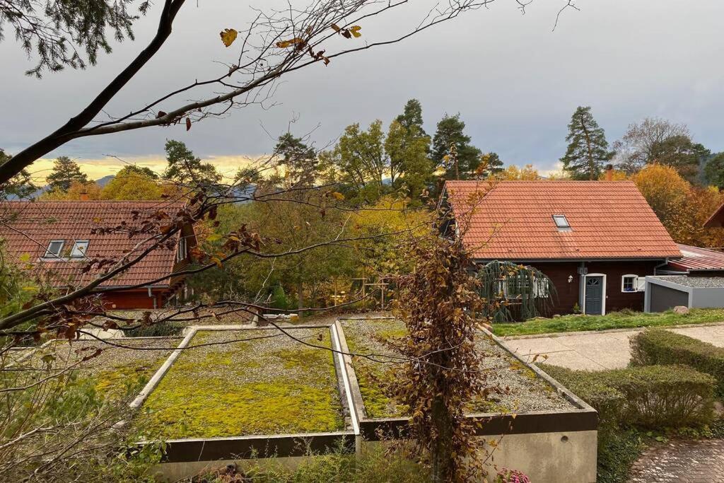 Le Galtz - GÎTES MARCK Ammerschwihr Exterior foto
