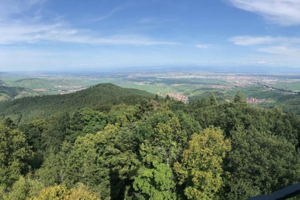 Le Galtz - GÎTES MARCK Ammerschwihr Exterior foto